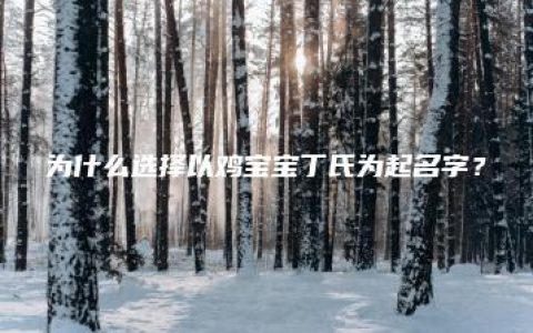 为什么选择以鸡宝宝丁氏为起名字？