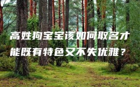 高姓狗宝宝该如何取名才能既有特色又不失优雅？