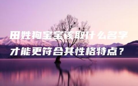 田姓狗宝宝该取什么名字才能更符合其性格特点？