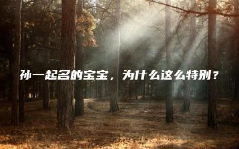 孙一起名的宝宝，为什么这么特别？