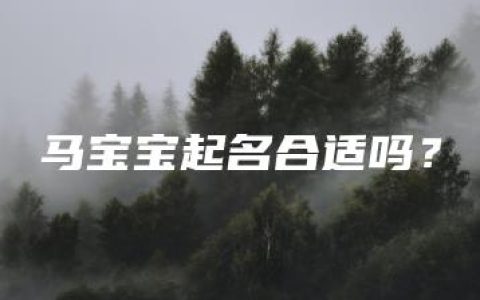 马宝宝起名合适吗？