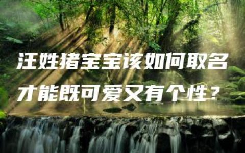 汪姓猪宝宝该如何取名才能既可爱又有个性？