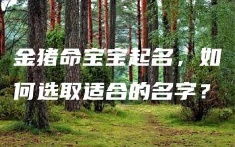 金猪命宝宝起名，如何选取适合的名字？