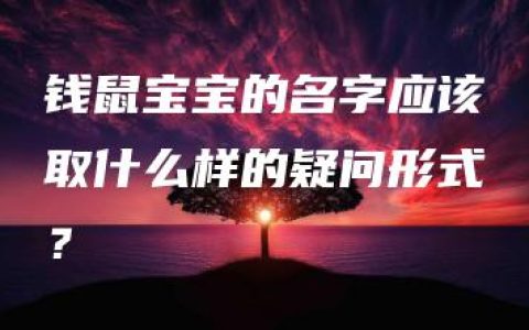 钱鼠宝宝的名字应该取什么样的疑问形式？