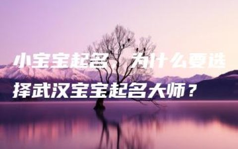 小宝宝起名，为什么要选择武汉宝宝起名大师？