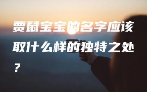 贾鼠宝宝的名字应该取什么样的独特之处？