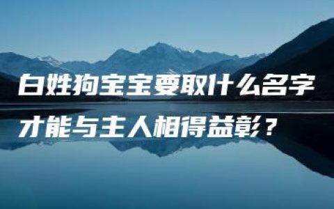 白姓狗宝宝要取什么名字才能与主人相得益彰？