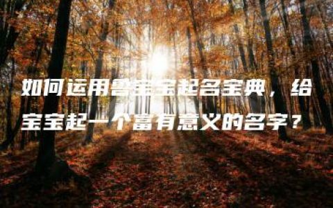 如何运用鲁宝宝起名宝典，给宝宝起一个富有意义的名字？