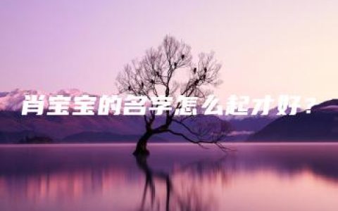 肖宝宝的名字怎么起才好？