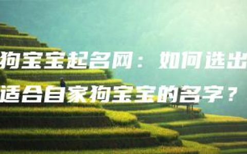 狗宝宝起名网：如何选出适合自家狗宝宝的名字？