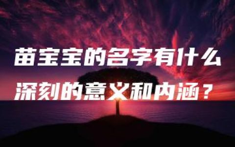 苗宝宝的名字有什么深刻的意义和内涵？