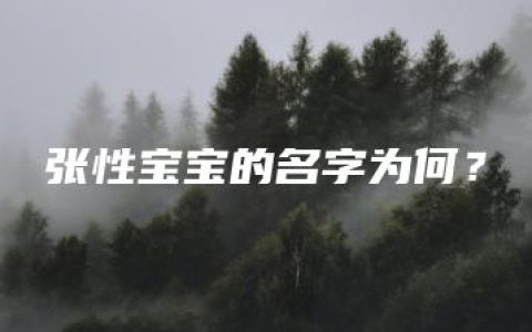 张性宝宝的名字为何？