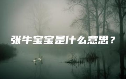 张牛宝宝是什么意思？