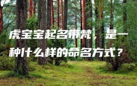 虎宝宝起名带梵，是一种什么样的命名方式？