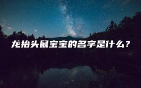 龙抬头鼠宝宝的名字是什么？