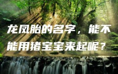 龙凤胎的名字，能不能用猪宝宝来起呢？