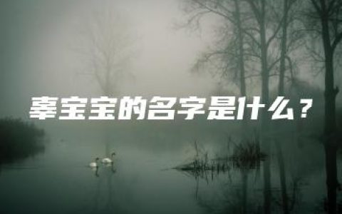 辜宝宝的名字是什么？