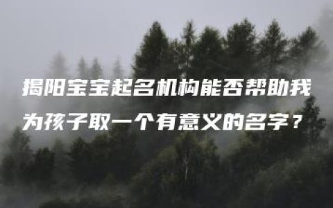 揭阳宝宝起名机构能否帮助我为孩子取一个有意义的名字？