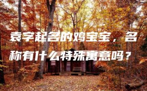 袁字起名的鸡宝宝，名称有什么特殊寓意吗？