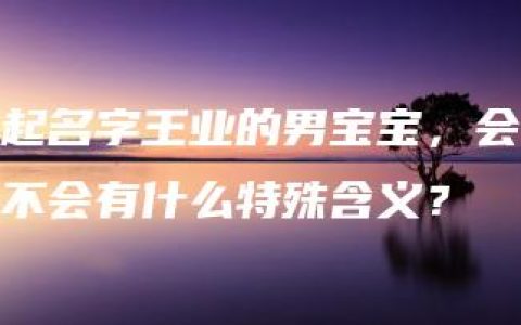 起名字王业的男宝宝，会不会有什么特殊含义？