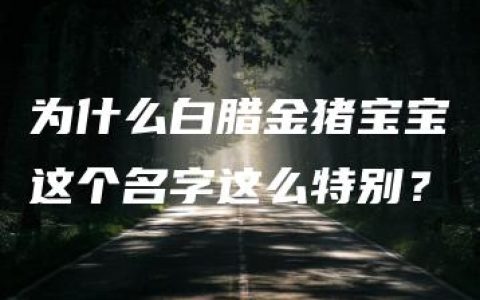 为什么白腊金猪宝宝这个名字这么特别？