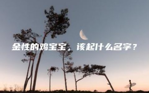 金性的鸡宝宝，该起什么名字？