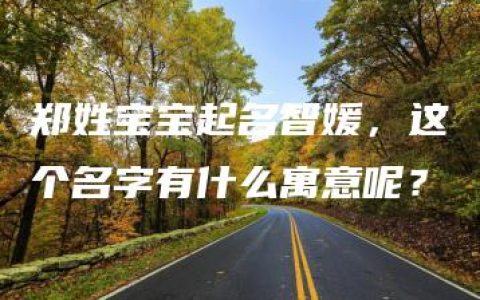 郑姓宝宝起名智媛，这个名字有什么寓意呢？