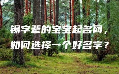 锡字辈的宝宝起名网，如何选择一个好名字？