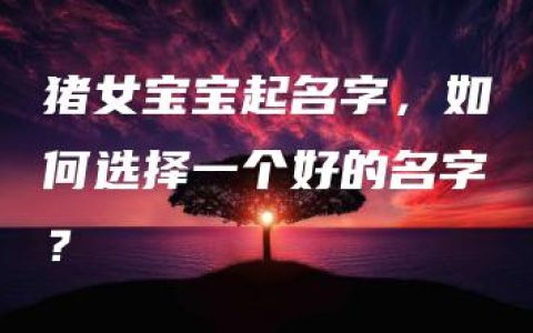 猪女宝宝起名字，如何选择一个好的名字？