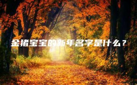 金猪宝宝的新年名字是什么？