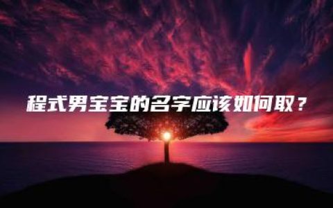 程式男宝宝的名字应该如何取？