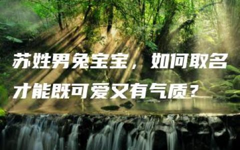 苏姓男兔宝宝，如何取名才能既可爱又有气质？