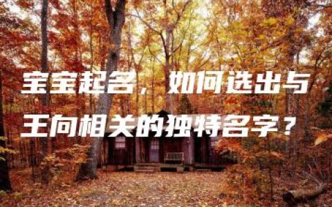 宝宝起名，如何选出与王向相关的独特名字？