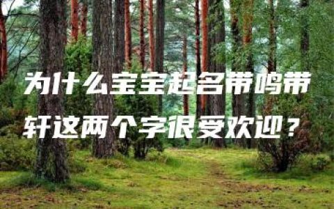 为什么宝宝起名带鸣带轩这两个字很受欢迎？