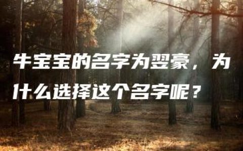 牛宝宝的名字为翌豪，为什么选择这个名字呢？