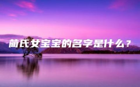 蔺氏女宝宝的名字是什么？