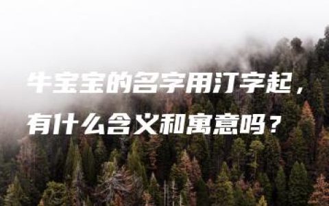 牛宝宝的名字用汀字起，有什么含义和寓意吗？