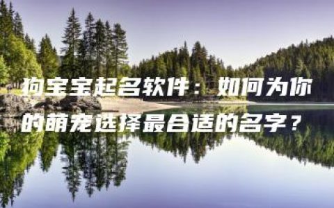 狗宝宝起名软件：如何为你的萌宠选择最合适的名字？