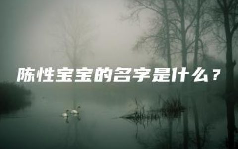 陈性宝宝的名字是什么？