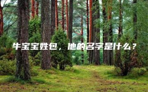 牛宝宝姓包，他的名字是什么？