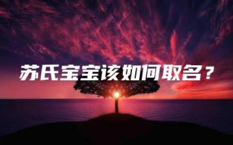 苏氏宝宝该如何取名？