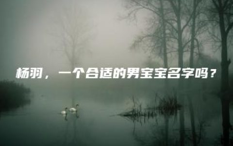 杨羽，一个合适的男宝宝名字吗？