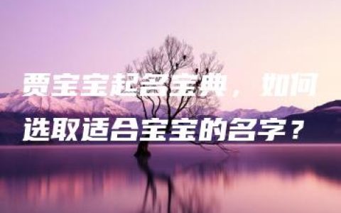 贾宝宝起名宝典，如何选取适合宝宝的名字？