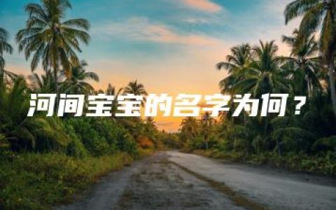 河间宝宝的名字为何？