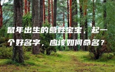 鼠年出生的葛姓宝宝，起一个好名字，应该如何命名？