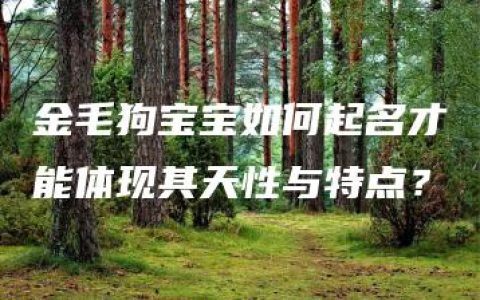 金毛狗宝宝如何起名才能体现其天性与特点？