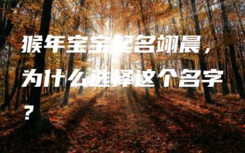 猴年宝宝起名翊晨，为什么选择这个名字？