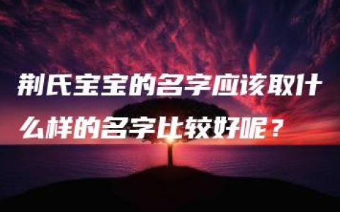 荆氏宝宝的名字应该取什么样的名字比较好呢？