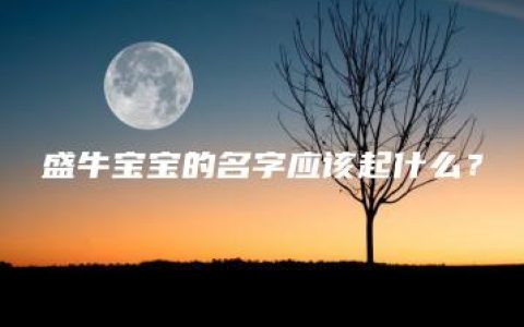 盛牛宝宝的名字应该起什么？