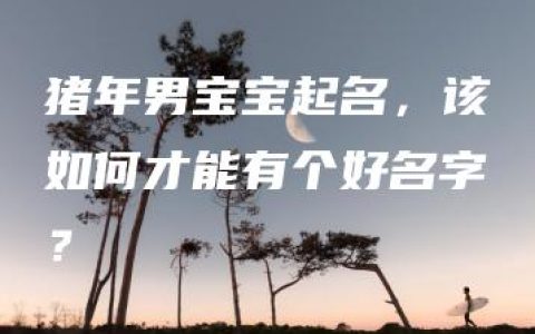 猪年男宝宝起名，该如何才能有个好名字？